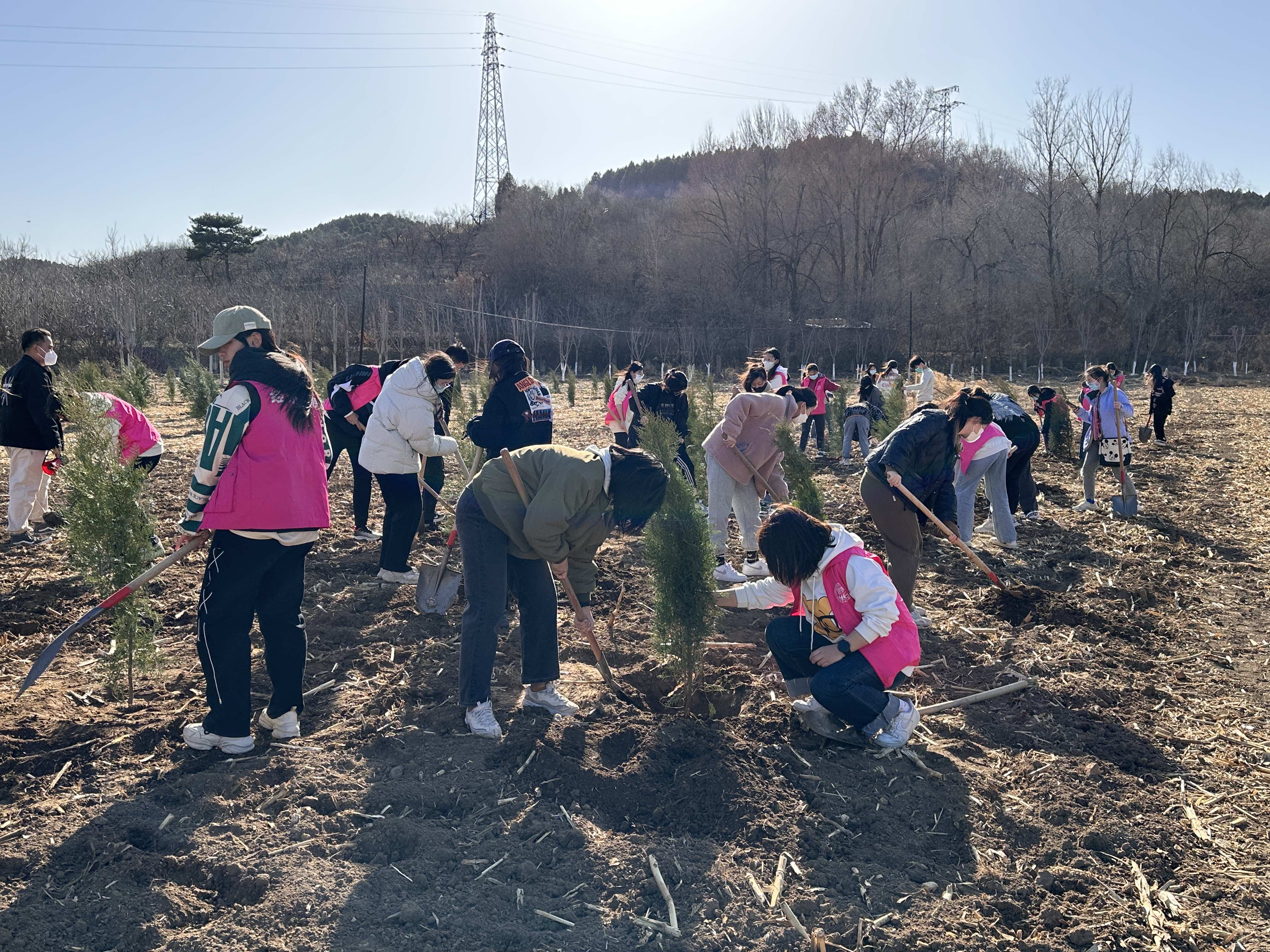 BG大游(中国)官方网站