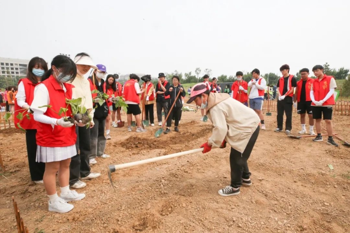 BG大游(中国)官方网站